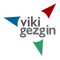 Vikigezgin