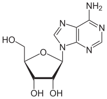 Structuurformule van adenosine