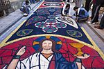 Miniatura para Alfombras de Serrín de Elche de la Sierra