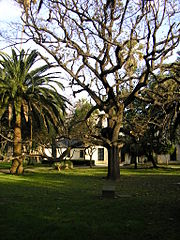 Español: Parque de Las Acacias.