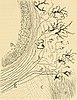 Medulla oblongata, 1896