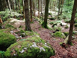 Felsenmeer im Bannwald Untereck