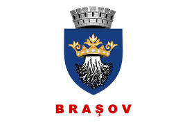 Flag of Brasov, Romania.svg