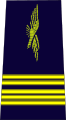 法國空軍上校肩章