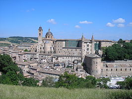 Urbino