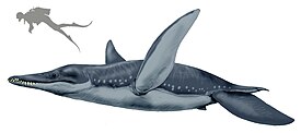 Pliosaurus brachydeirus