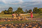 Thumbnail for File:Boy plowing with a tractor at sunset in Don Det, Laos.jpg