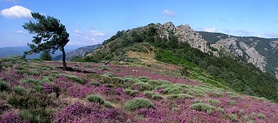 Vue de la Palombière près du hameau de Douch.