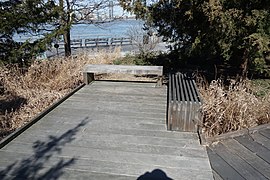 Hudson River Park td (2019-03-27) 048 - Tribeca Native Boardwalk.jpg