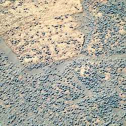 Martian spherules, commonly called blueberries, were discovered during the Opportunity mission to Mars. Credit: NASA.{{free media}}