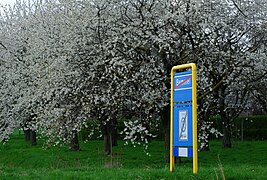 Welcome sign in Bemmel (Lingewaard).jpg