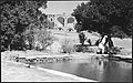 Outside the Shrine of Gazar Gah, c. 1939