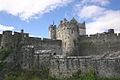 Cahir Castle