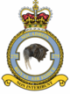 RAF312Sq