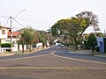 Uma rua tranquila da Nova Campinas, bairro nobre.