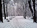 Cảnh mùa đông tại Cộng hòa Séc