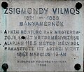 Zsigmondy Vilmos