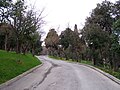 Yıldız Parkı