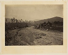 Buzzard Roost. GA. (8170378115).jpg