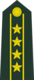 Colonel Commandant