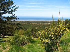 Vue de la Manche depuis le mont Saint-Frieux.