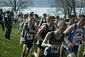 Image 27The New York State Federation Championship cross country meet in November 2010 (from Cross country running)