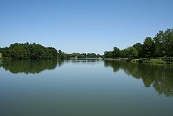 Skyline of Lake of the Woods