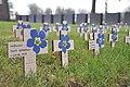 Anlässlich der Wiedereinweihung der deutschen Kriegsgräberstätte im belgischen Langemark erinnerte der Volksbund im Frühjahr 2016 mit kleinen Holzkreuzen sowie dem Vergissmeinnicht an alle Opfer von Krieg und Gewaltherrschaft.