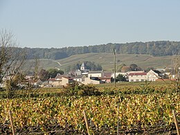 Le Mesnil-sur-Oger – Veduta