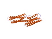 1u6h: Vinculin head (0-258) in complex with the talin vinculin binding site 2 (849-879)