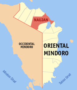 Map of Oriental Mindoro with Naujan highlighted
