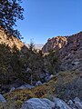 Tahquitz Canyon