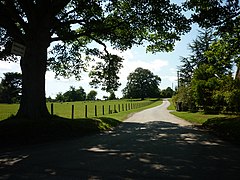 The road to Newby Wiske at Nook Cottage - geograph.org.uk - 2526091.jpg