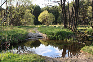 річка Дружня