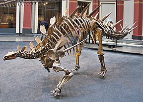 Berlin_Naturkundemuseum_Dino_Eingangshalle.jpg