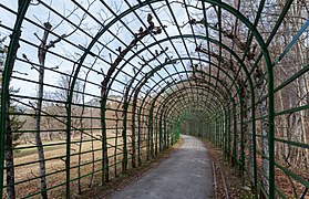 Passage in the park