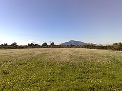 Skyline of Catral