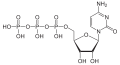 Deutsch: Struktur von Cytidintriphosphat English: Structure of Cytidine triphosphate