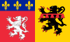 ローヌ県の旗