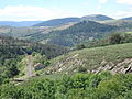 Col du Thort, 1 120 m, côté sud.