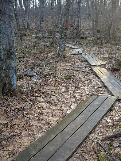 Planks at Parker Woodland in Exeter, RI