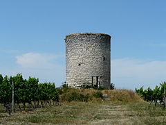 Ancien moulin à vent au milieu des vignes.