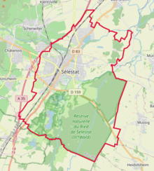 Sélestat OSM 01.png