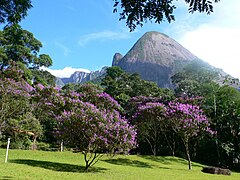 Vista del parque en Teresópolis, parte d Serra do Mar mountain range