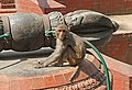 Swayambhunath