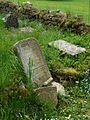 Čeština: Poškozené náhrobky na židovském hřbitově u vsi Olšany v okrese Jindřichův Hradec, Jihočeský kraj. English: Ruined gravestones in the Jewish cemetery by the village of Olšany, Jindřichův Hradec District, South Bohemian Region, Czech Republic.