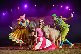 Shetlands de la troupe européenne Apassionata