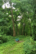 A bench in the Arboretum. Horki, Belarus.png