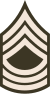 E-8 insignia