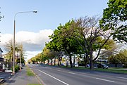 Bealey Avenue, one of Christchurch's Four Avenues